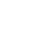 newport film festival - logo